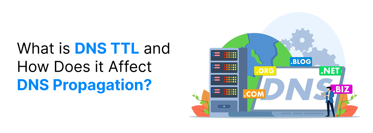 What is DNS TTL and How Does it Affect DNS Propagation?